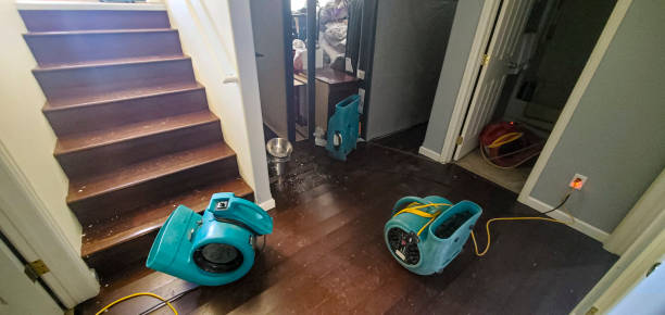 Best Water damage restoration company  in Whitesburg, KY
