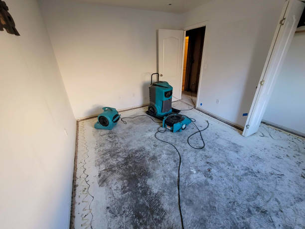 Best Ceiling water damage repair  in Whitesburg, KY