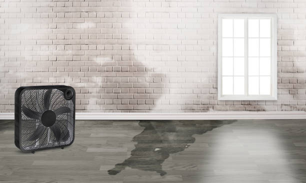 Trusted Whitesburg, KY Water damage restoration Experts