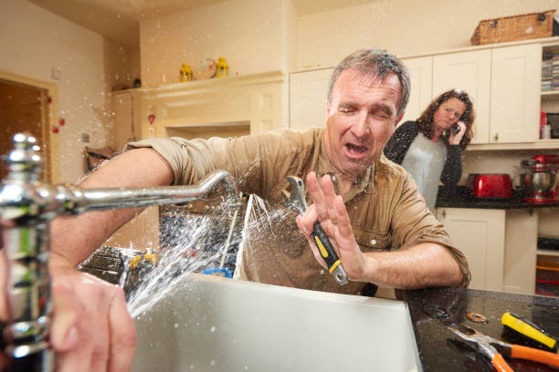 Best Sewage cleanup and water damage restoration  in Whitesburg, KY